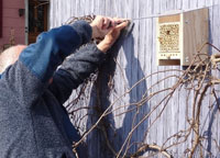 Montage des Bienenhotels